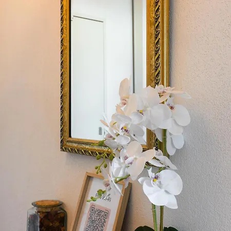 Appartamento O Cocon Paisible - Wifi, Calme, Smart Tv, Parking - A 2min Du Campus Tbs *