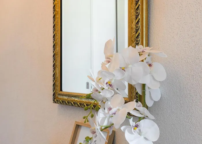 Apartamento O Cocon Paisible - Wifi, Calme, Smart Tv, Parking - A 2min Du Campus Tbs *